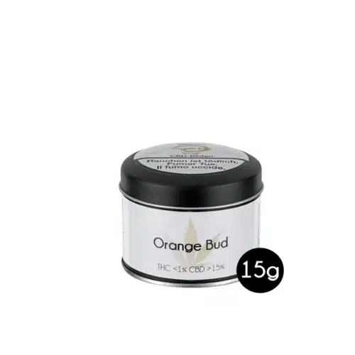 Orange Bud 2