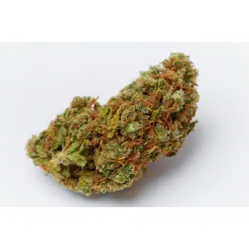 Orange Bud 3