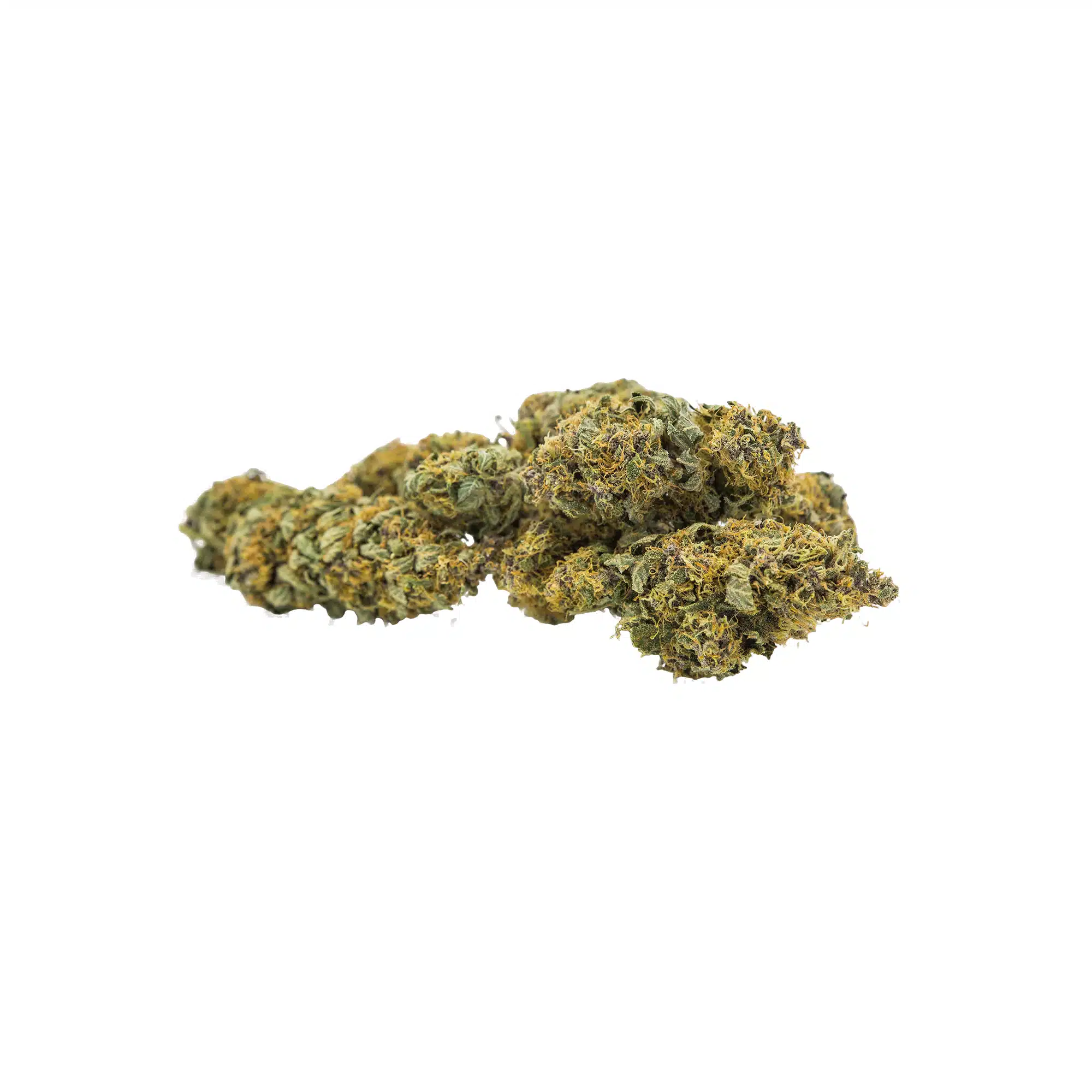 CBD Joint Blue Berry Bud zuProbierpaket