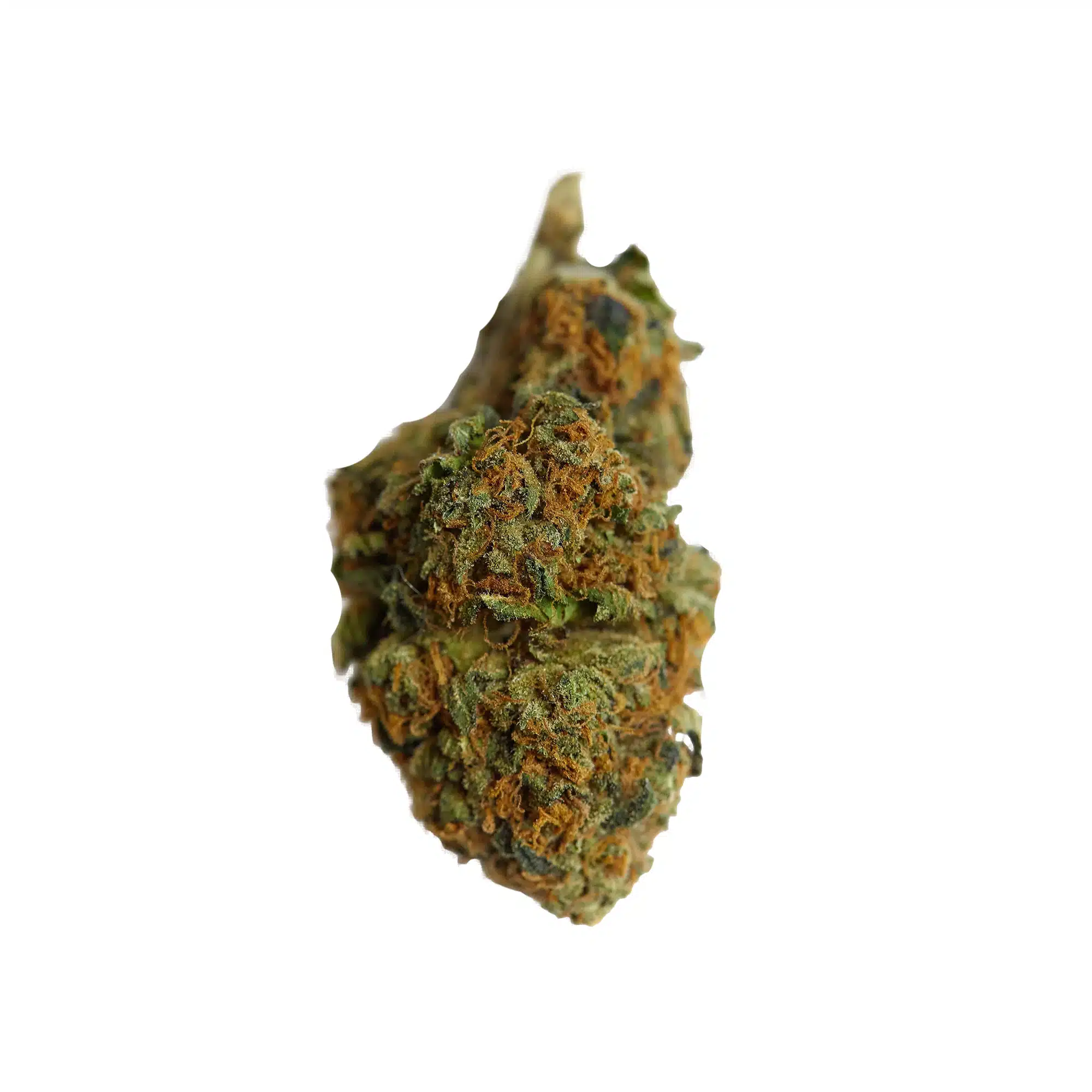 CBD Joint Orange Bud zuProbierpaket