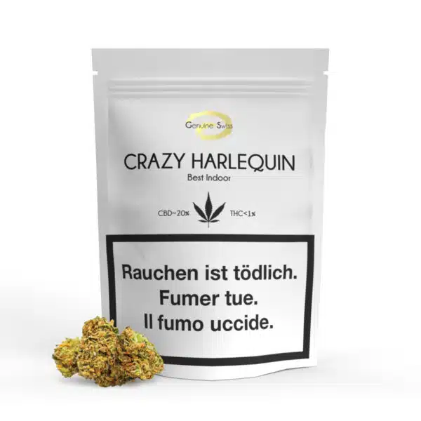 Minibuds Crazy Harlequin