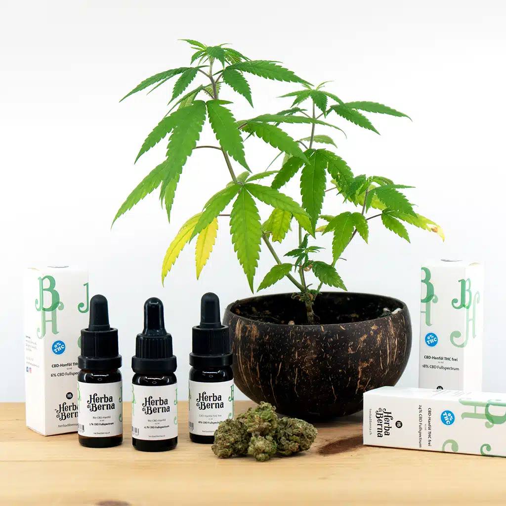 CBD öl 35Prozent 2