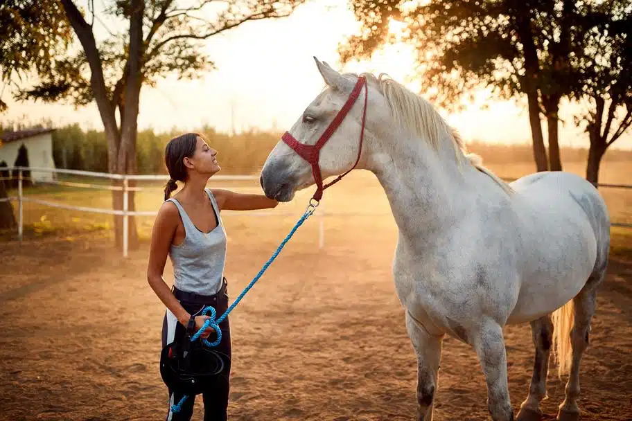 Pretty girl and her horse