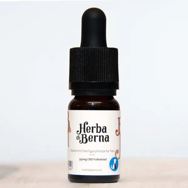 CBd öl Hunde 3