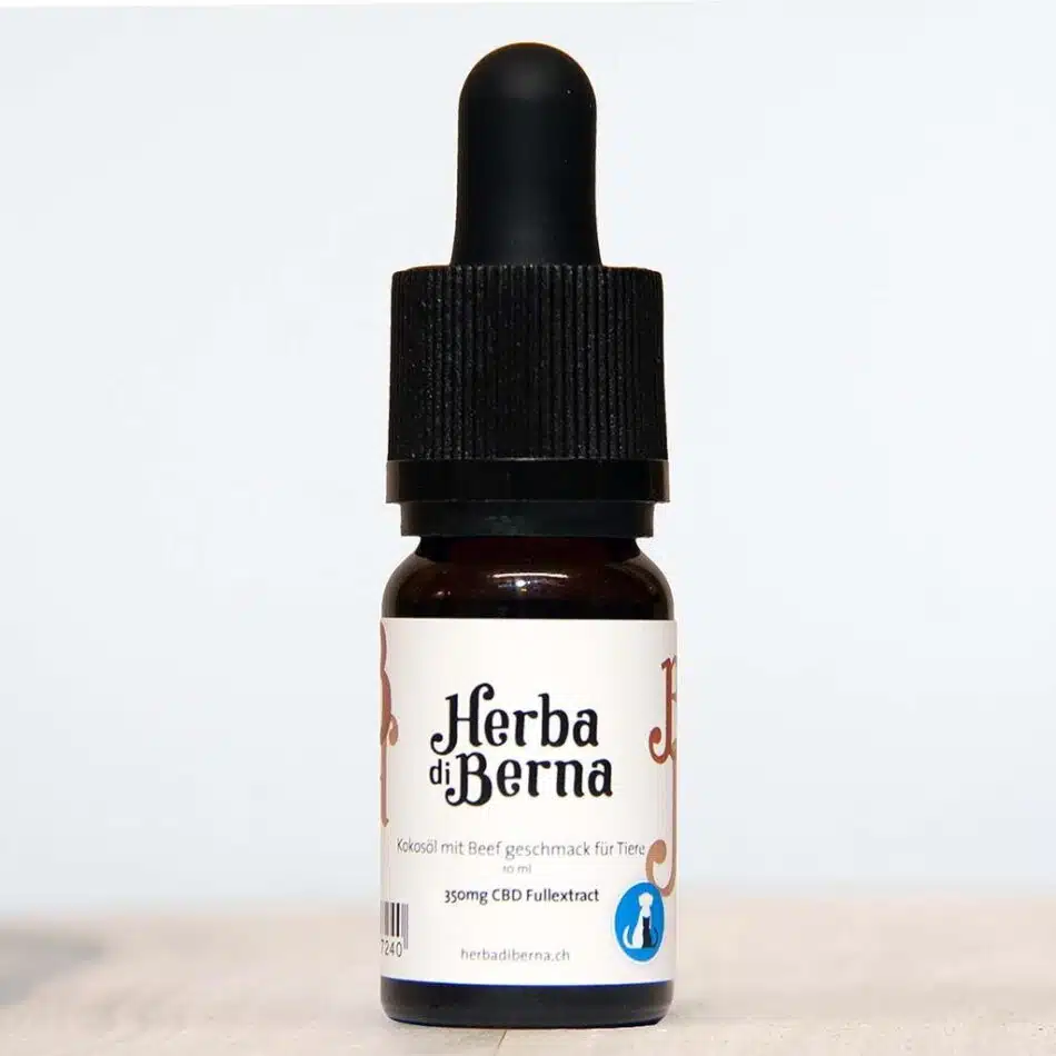 CBd öl Hunde 3