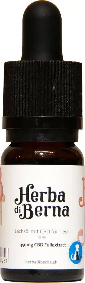 CBd öl Katze 3