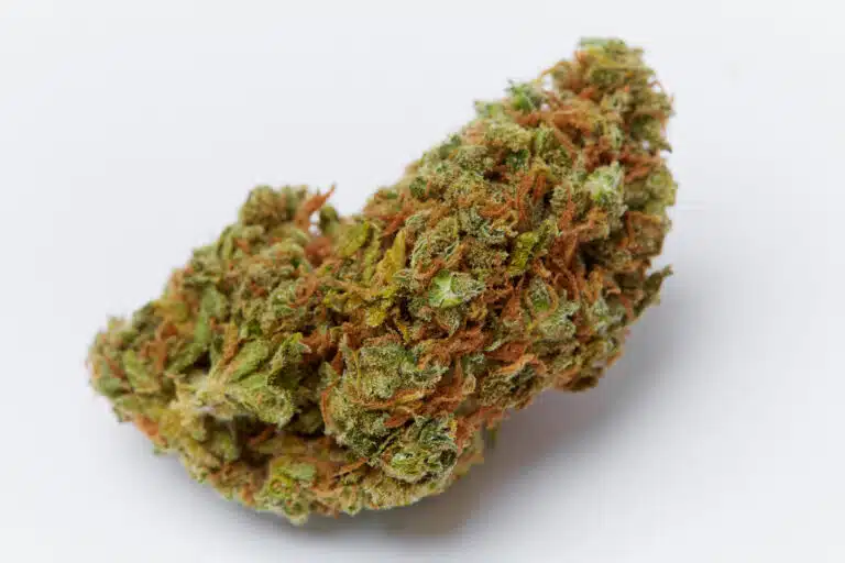 Orange Bud shutterstock 725620753 Kopie 768x512.jpg