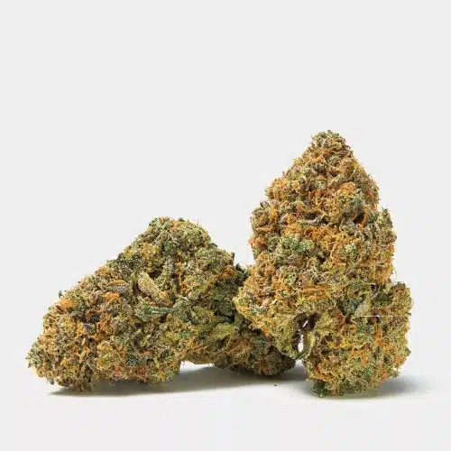 qualicann cbd bluete banana diesel bluete scaled 2