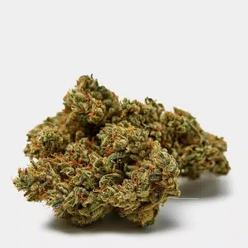 qualicann cbd bluete sweet star bluete scaled 2