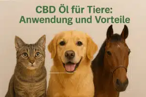 cbd öl für tiere