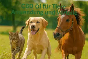 cbd öl für tiere