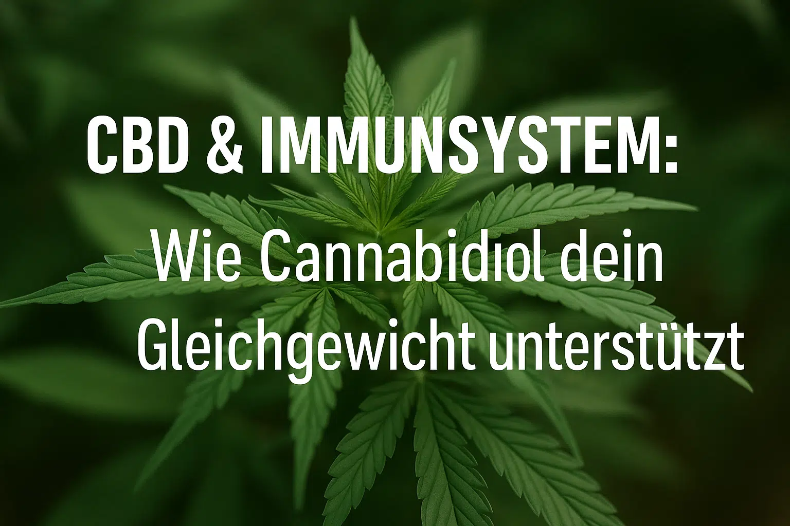 CBD Immunsystem